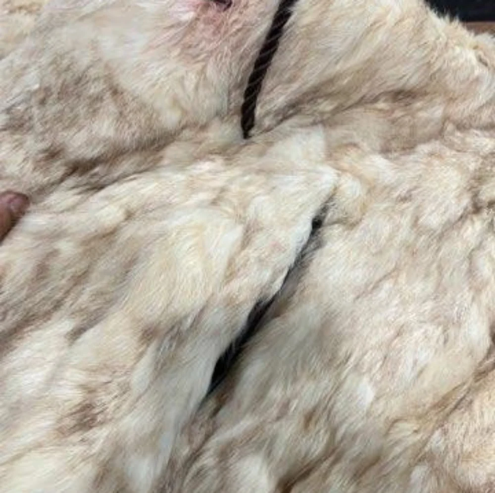 Made Korea Rabbit Fur - Picture 9 of 11